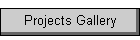 Projects Gallery